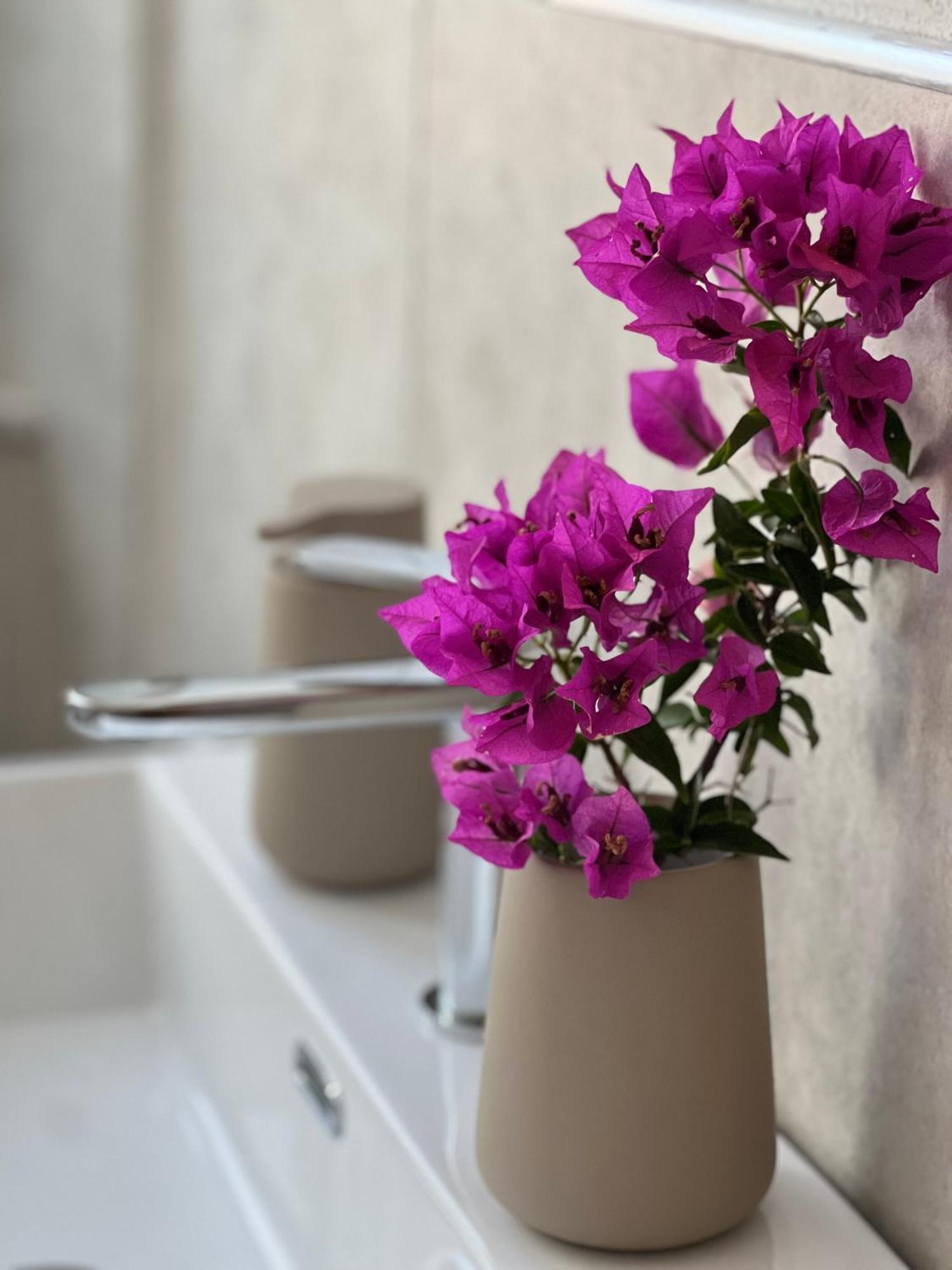 Bed and Breakfast Il Mandorlo Santa Teresa Gallura Exterior foto
